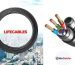 lifecables