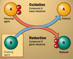 Oxidation
